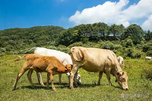 申花新帅斯卢茨基抵达上海，助教别列祖茨基、雅罗文斯基同机抵达